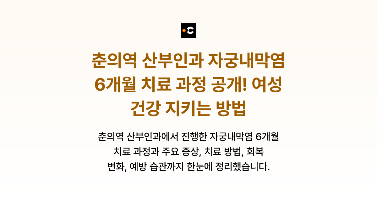 춘의역 산부인과 자궁내막염 6개월 치료 과정 공개! 여성 건강 지키는 방법
